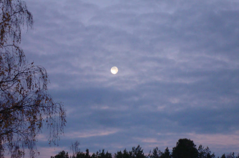 Well above the horizon is a setting moon in a sky turning pink with sunrise.